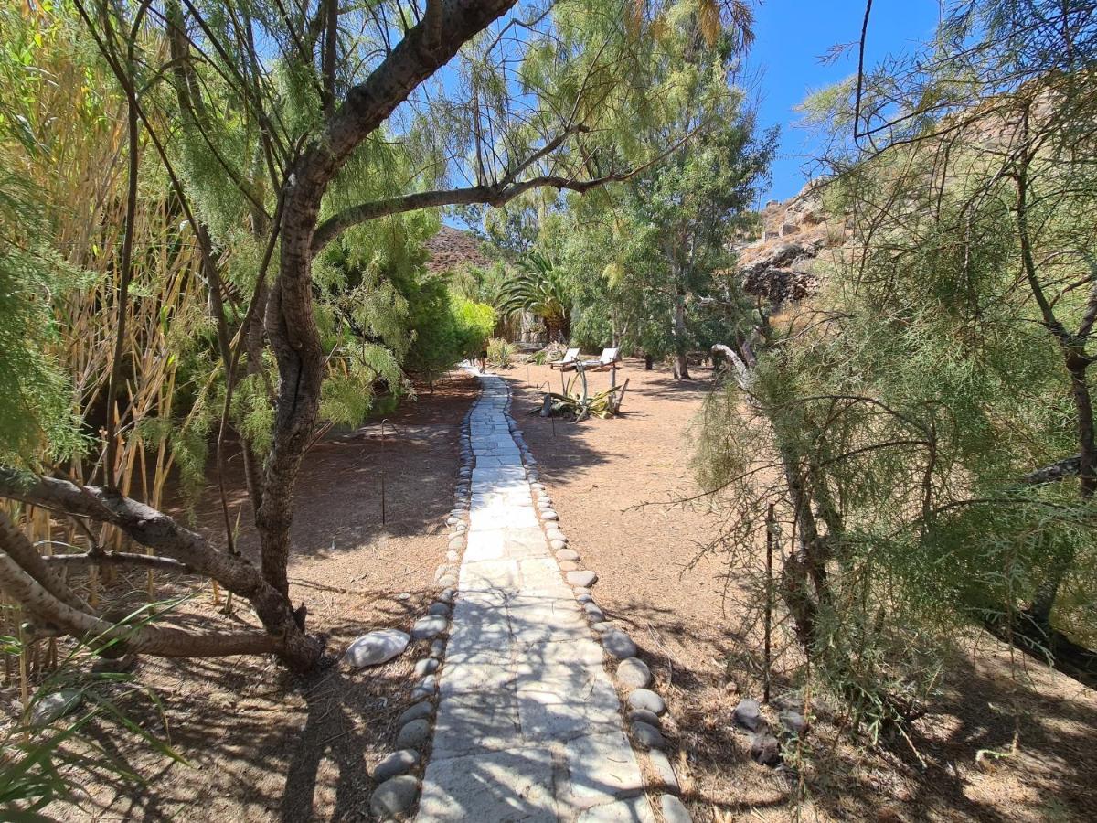 Nature Eco Living Serifos Livadi  Extérieur photo