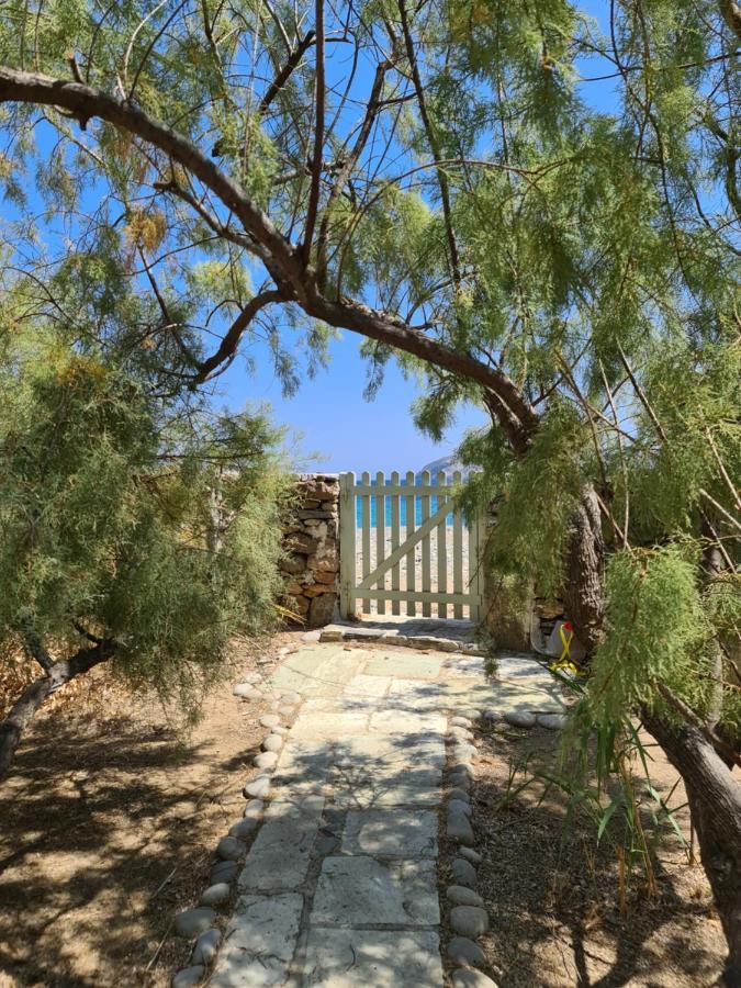 Nature Eco Living Serifos Livadi  Extérieur photo